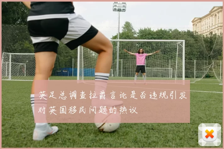 英足总调查拉爵言论是否违规引发对英国移民问题的热议