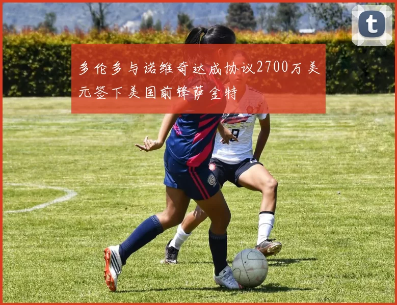 多伦多与诺维奇达成协议2700万美元签下美国前锋萨金特