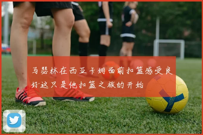 马瑟林在西亚卡姆面前扣篮感受良好这只是他扣篮之旅的开始