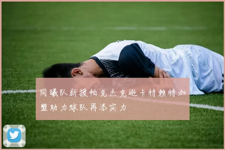 同曦队新援帕克杰克逊卡特赖特加盟助力球队再添实力